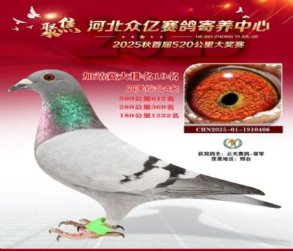 �ӱ����ڼ������ļ�վ��19��