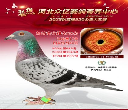 �ӱ����ڼ������ļ�վ��28��