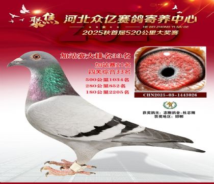 �ӱ����ڼ������ļ�վ��33��