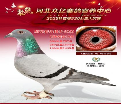 �ӱ����ڼ������ļ�վ��40��