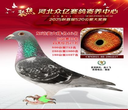 �ӱ����ڼ������ļ�վ��46��