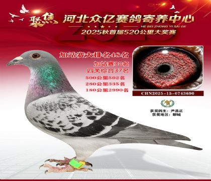 �ӱ����ڼ������ļ�վ��48��