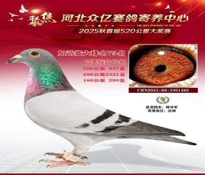 �ӱ����ڼ������ļ�վ��75��