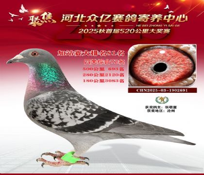 �ӱ����ڼ������ļ�վ��81��