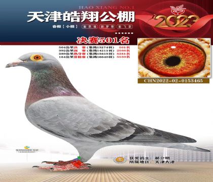 �����蹫�����501��������13274��