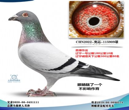 ���־��ܽ�ͷ������Ҽ�Ź���10�����ף�