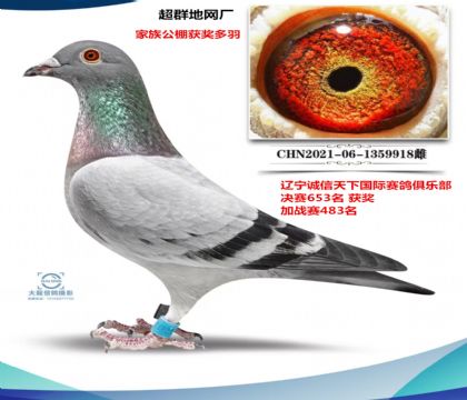 ��Ⱥ���� �������¹������653��