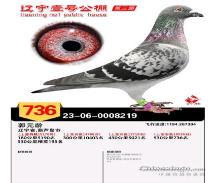 ��Ԫ�䣨����Ҽ�Ź������736����