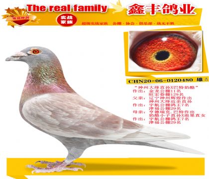 �����ݴ��ֱ��X�������ҡ�