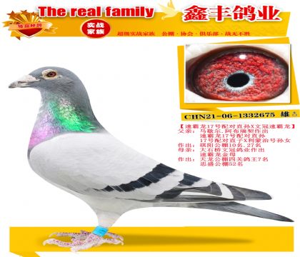 ���ٰ���17�����ֱ��X�Ĺ��ٰ�����