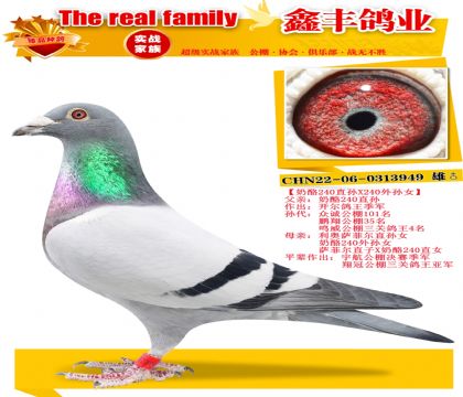 ������240ֱ��X����240����Ů��