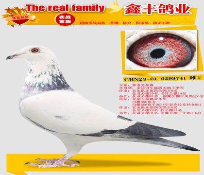 ��³������ɭ741��