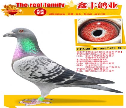 ���������ܽ���8��X�������������ھ�ƽ����