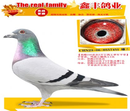 ������240ֱ��X����240����Ů��