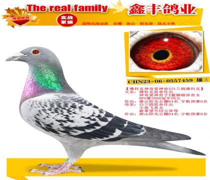 ����ƿ����氮����X�������ƿˡ�