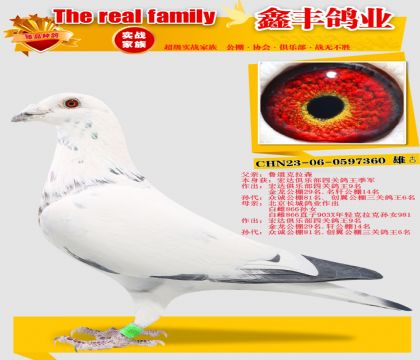 ��³������ɭ360��