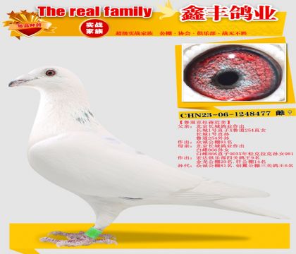 ��³������ɭ477��