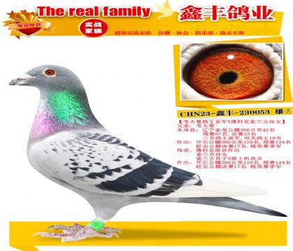 �������������Ǿ�X��������Ů��