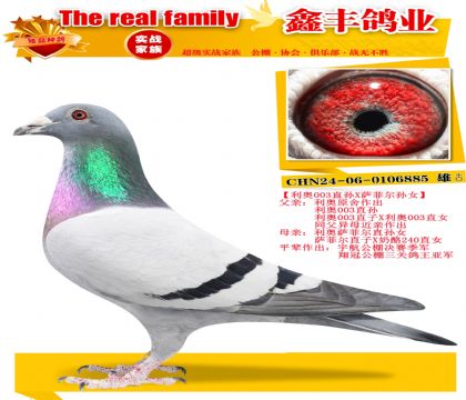 ������003��X���ƶ���Ů��