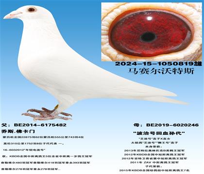 ����������˹�����źš�X�����κš�