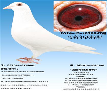 ����������˹�����źš�X�����κš�