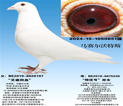 ����˹������ ��˹���ϻ�Ѫ��X�����ź���Ů��