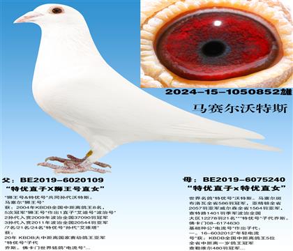 ����������˹�����źš���Ѫ����