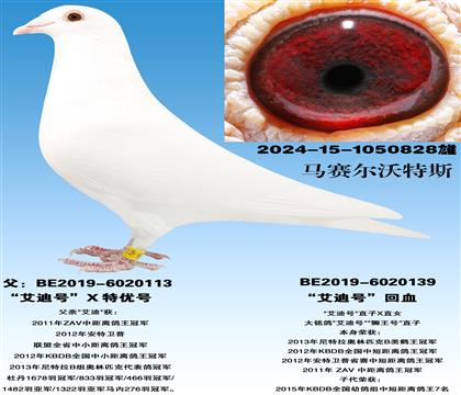 ����������˹�����źš�X�����Ϻš�