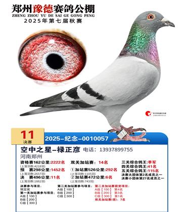 ֣��ԥ�¾���11��