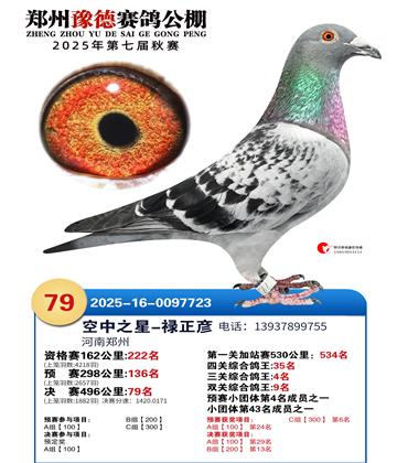 ֣��ԥ�¾���79��