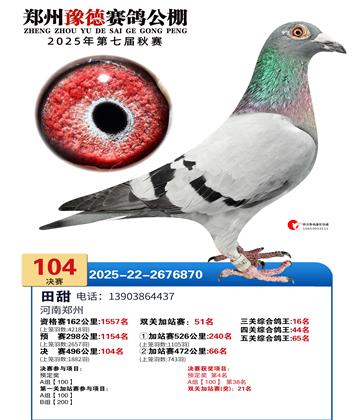 ֣��ԥ�¾���104��