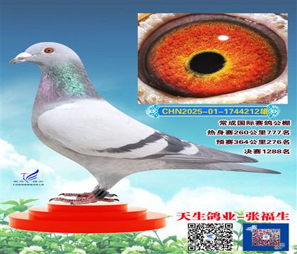 ���ɹ���Ԥ��276��