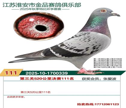 淮安金品决赛111名