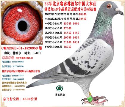 23�ֲ����й���Ӫ���׻�Ѫ���ظ���180����18����7��