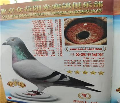 ���� �����������ظ����ھ�