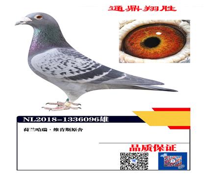 ��������ά��˹ԭ��