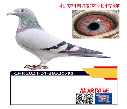 ղɭX������