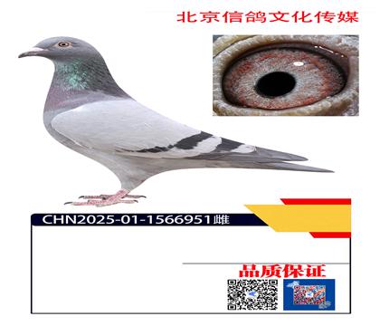 �Ǳ�Xɣ��ʿXղɭ