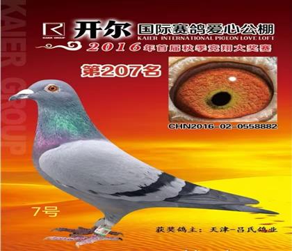 ����������ϸ�ҵ�Ŀ����������207��