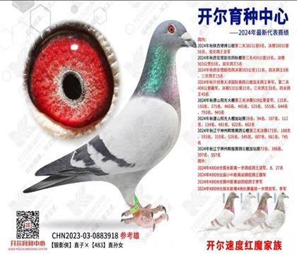 ��������Ӱ��ֱ��X483ֱ��Ů