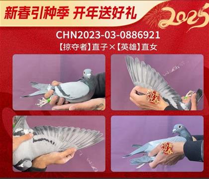 �������Ӷ���ֱ��XӢ��ֱŮ921