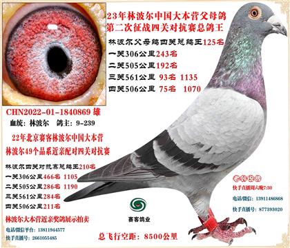 22�ֲ������׻�Ѫ�Ĺ�210��23���θ�ĸ�ĹضԿ�125��