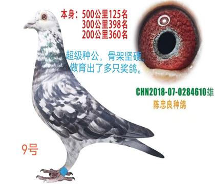 500����125��