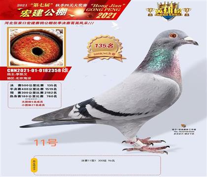 �꽨�������135��