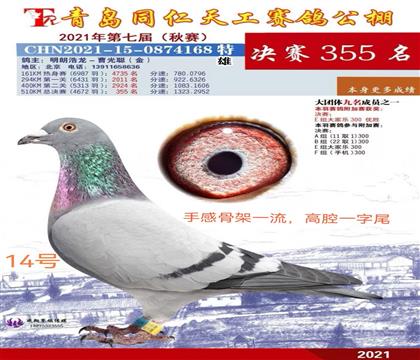 �ൺͬ���칤����355��