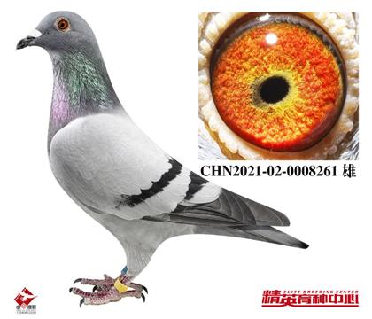 ŷ�������ҽ��ף���ĸ��Ϊ���� ������ �߽�λ