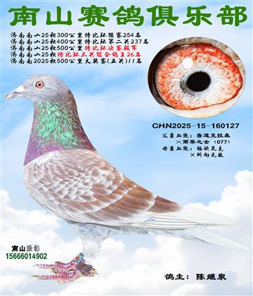 �رȻ��������