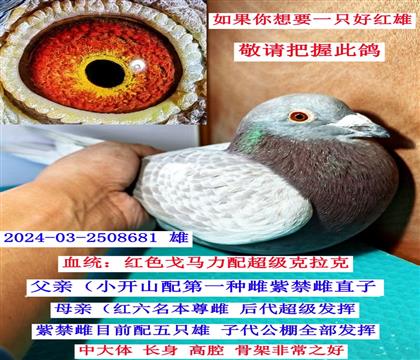 ������ֱ��