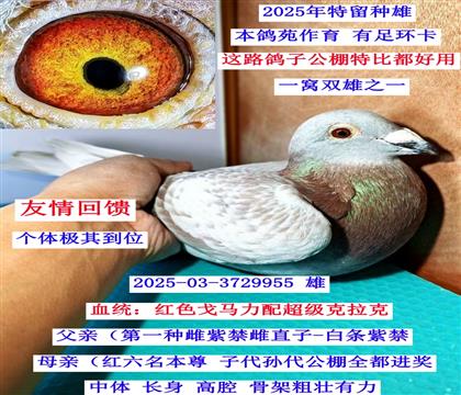 ������ֱ�ӣ�һ��˫��֮һ��