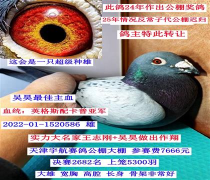 ������־��-���